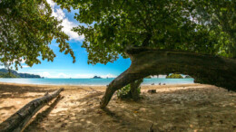 Nopparattara Beach, Krabi Thailand