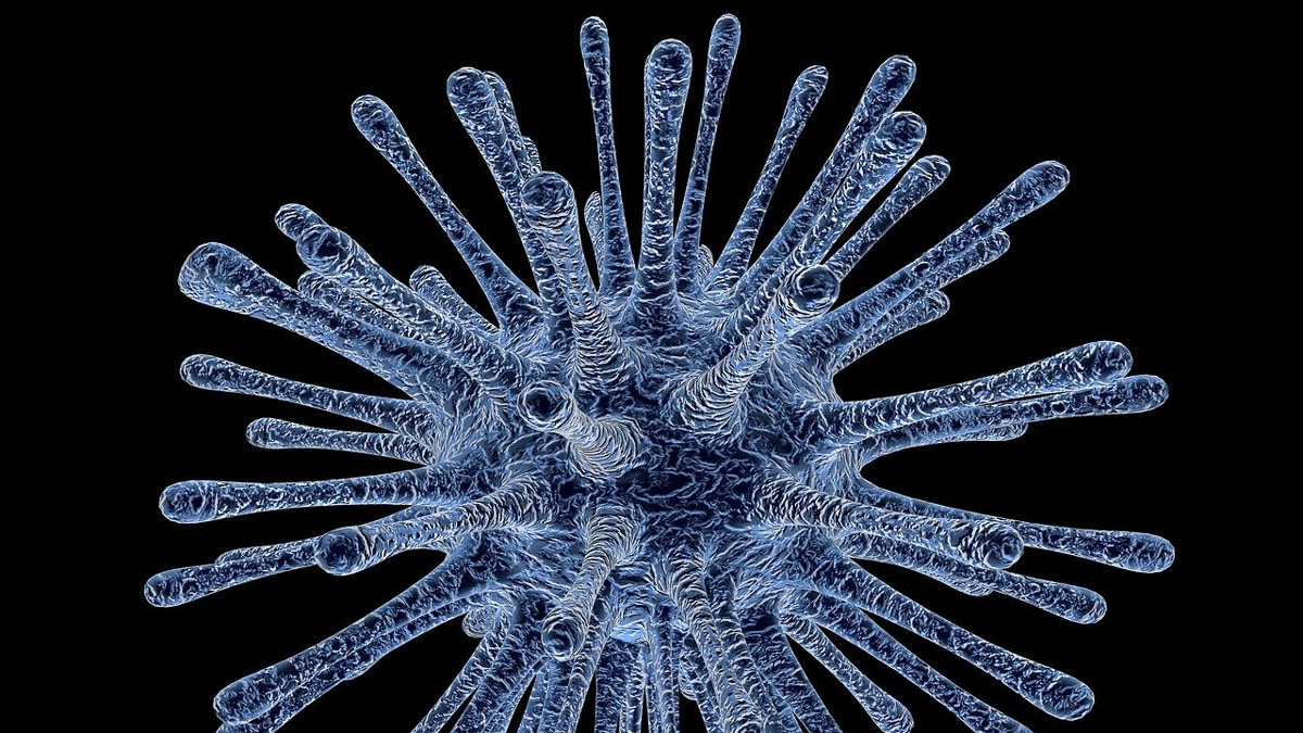 Virus